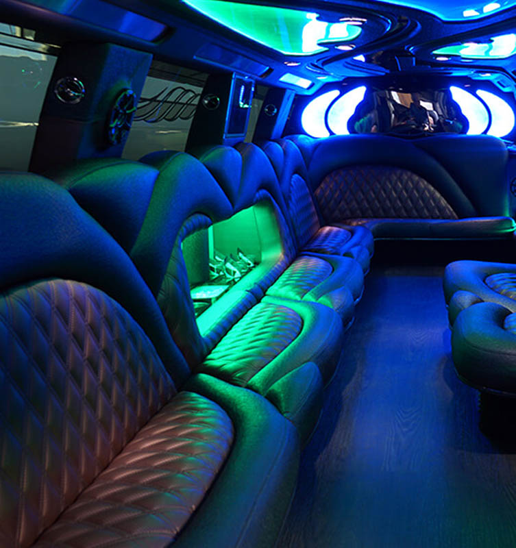 Lansing party bus rental