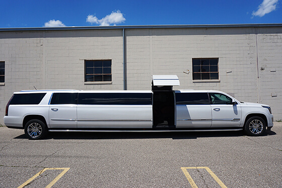 Limousine Bus for 20